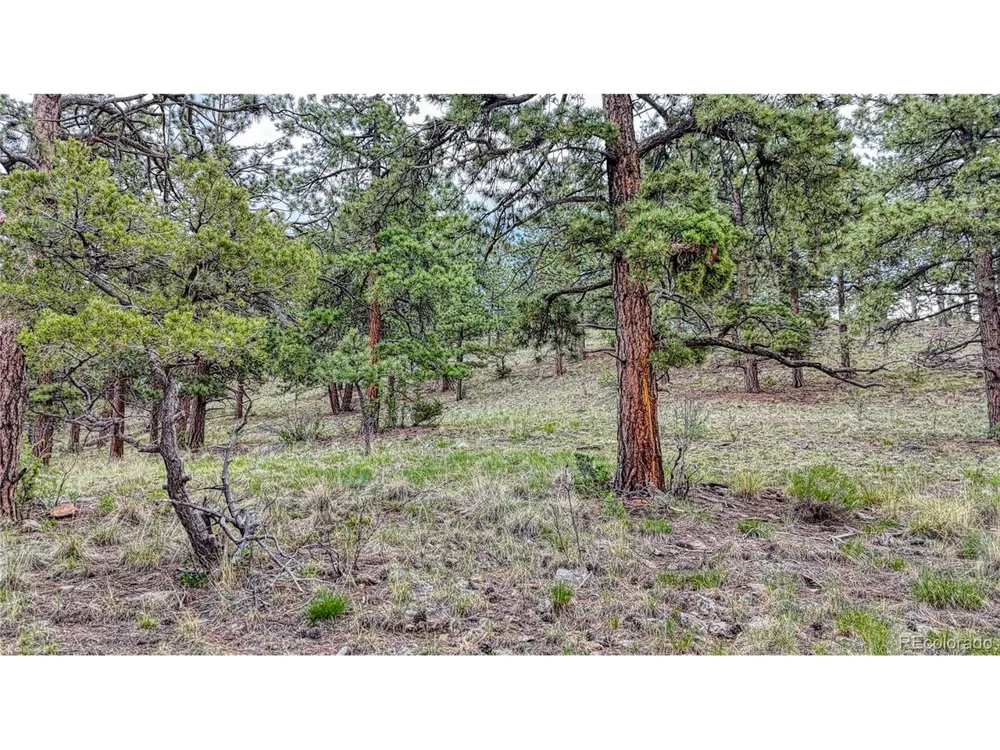 44 Honeysuckle Terrace Westcliffe, CO 81252