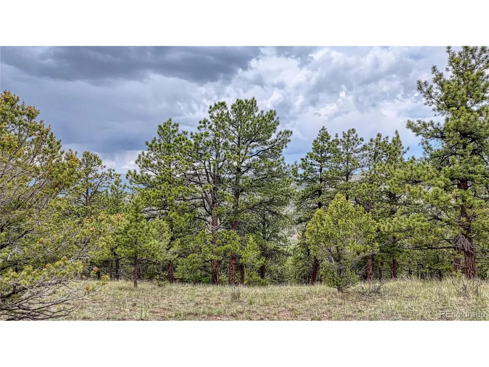 44 Honeysuckle Terrace Westcliffe, CO 81252