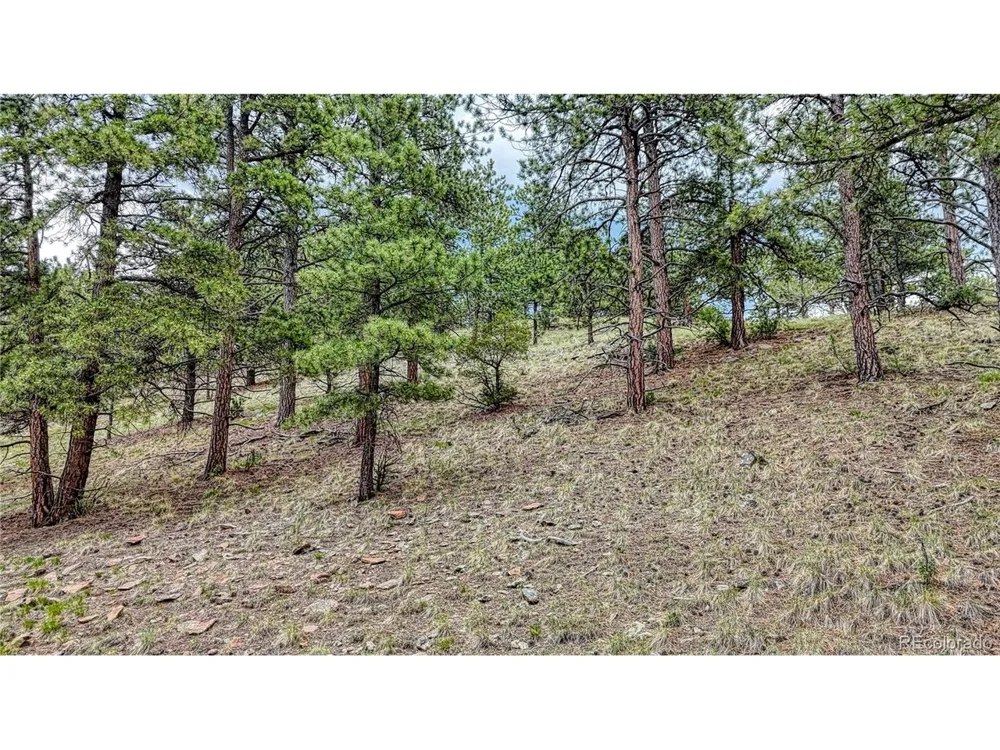 44 Honeysuckle Terrace Westcliffe, CO 81252
