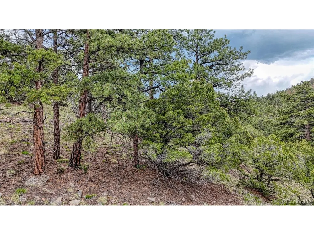 44 Honeysuckle Terrace Westcliffe, CO 81252