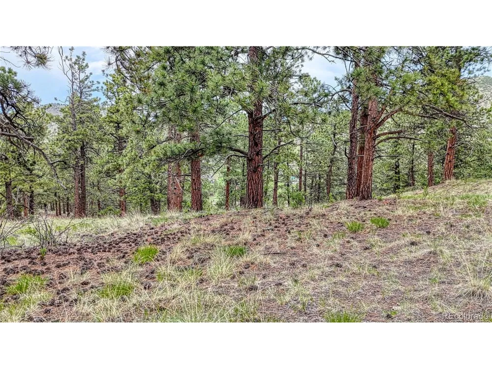 44 Honeysuckle Terrace Westcliffe, CO 81252