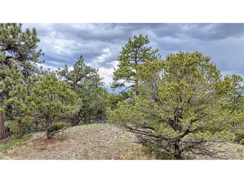 44 Honeysuckle Terrace Westcliffe, CO 81252