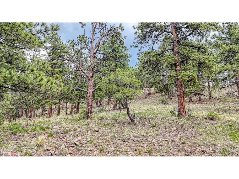 44 Honeysuckle Terrace Westcliffe, CO 81252