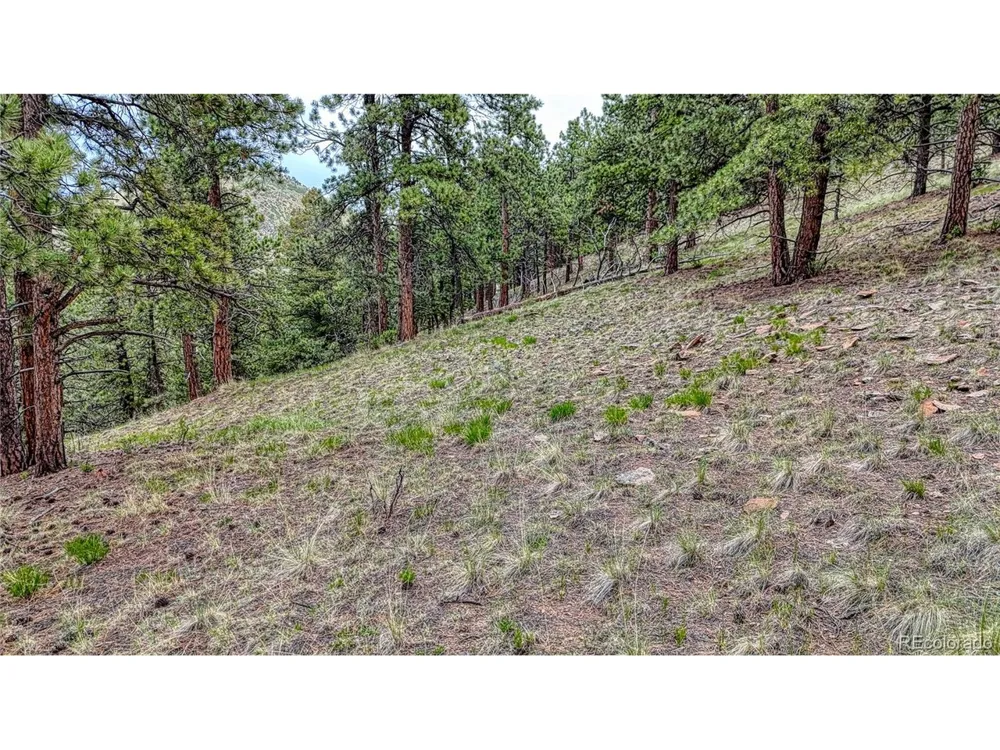 44 Honeysuckle Terrace Westcliffe, CO 81252
