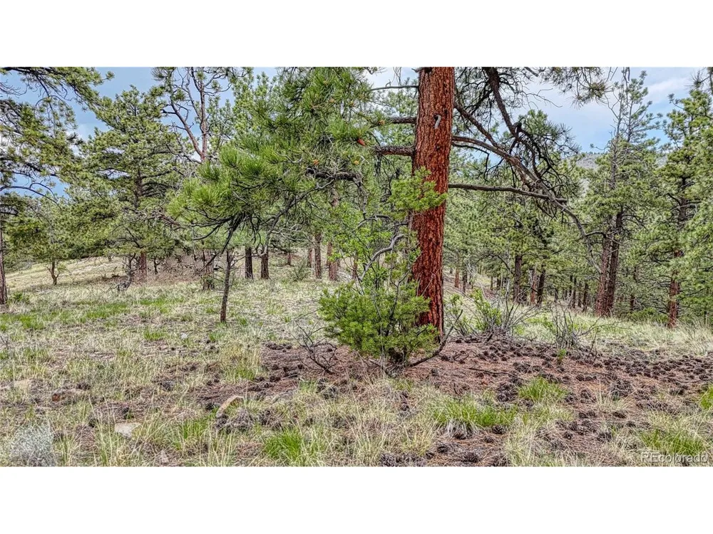 44 Honeysuckle Terrace Westcliffe, CO 81252