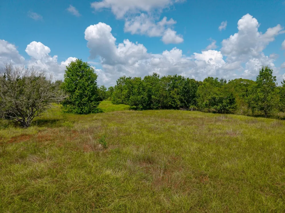1301 Adams Road Bay City, TX 77414