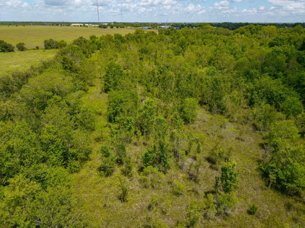 1301 Adams Road Bay City, TX 77414