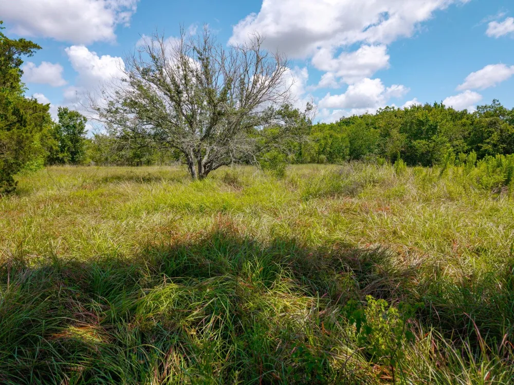 1301 Adams Road Bay City, TX 77414