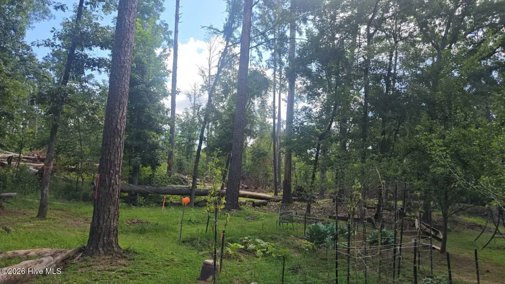 5628 Tubman Road Appling, GA 30802