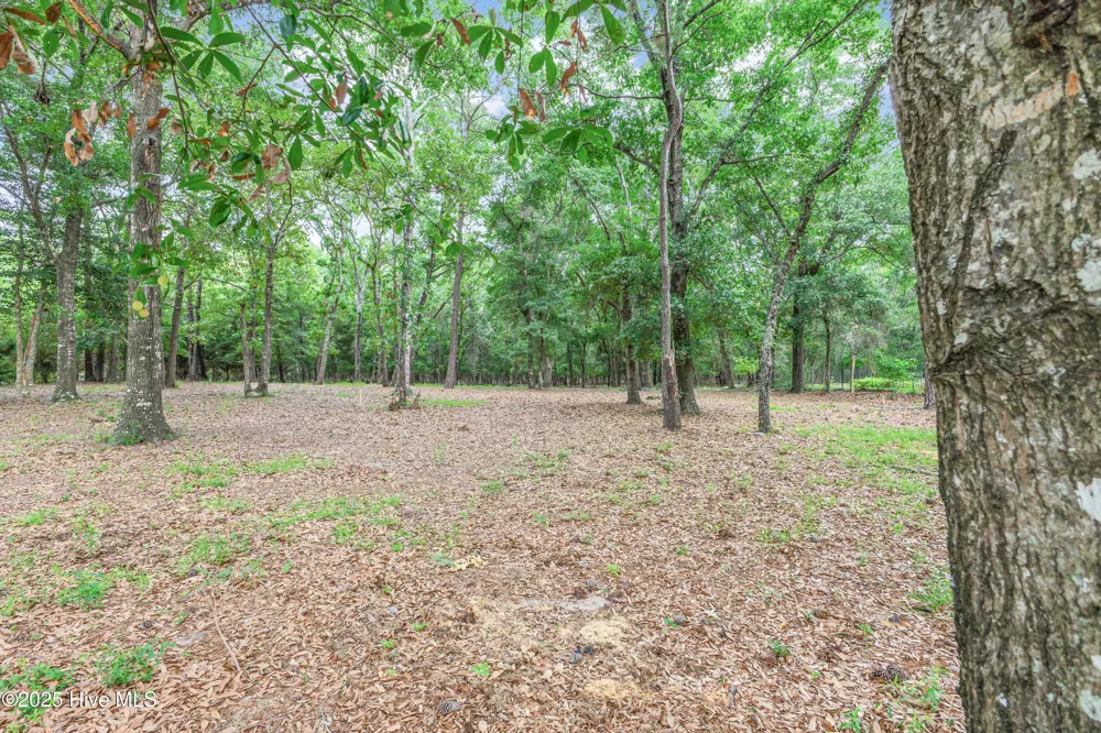 3197 Marsh View Drive SW Supply, NC 28462