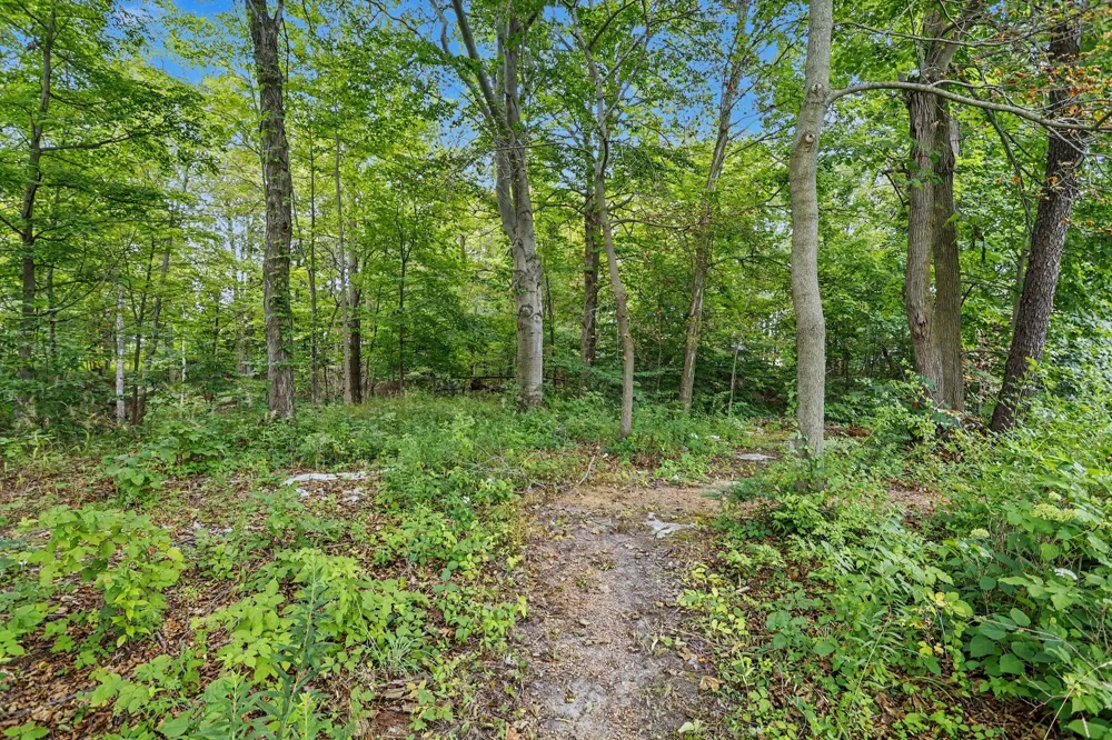 5240 Stockbridge Court Royalton Township, MI 49085