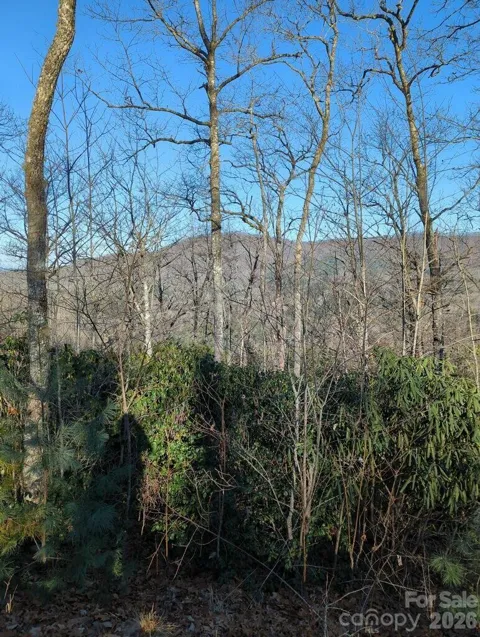 21 Hidden River