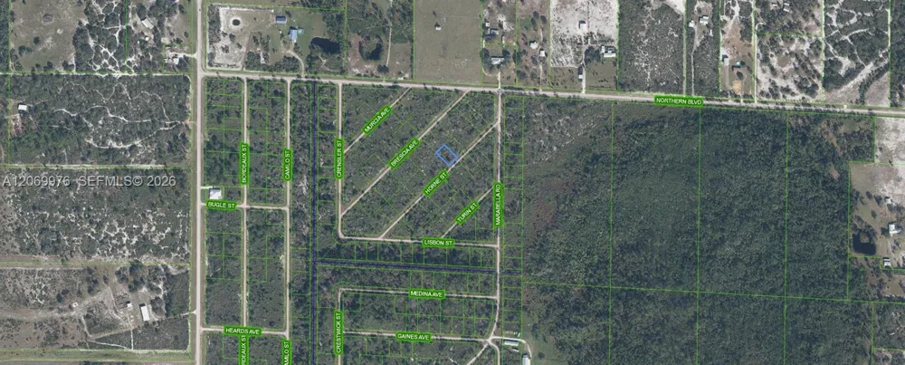 3451 Lake June Lake Placid, FL 33852