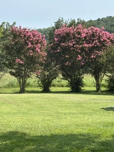 327 N Central Ave Watertown, TN 37184
