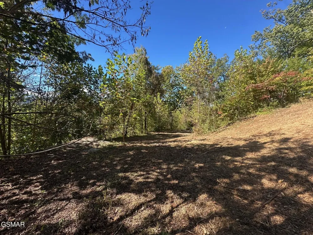 361 Oakwood Drive Sevierville, TN 37876