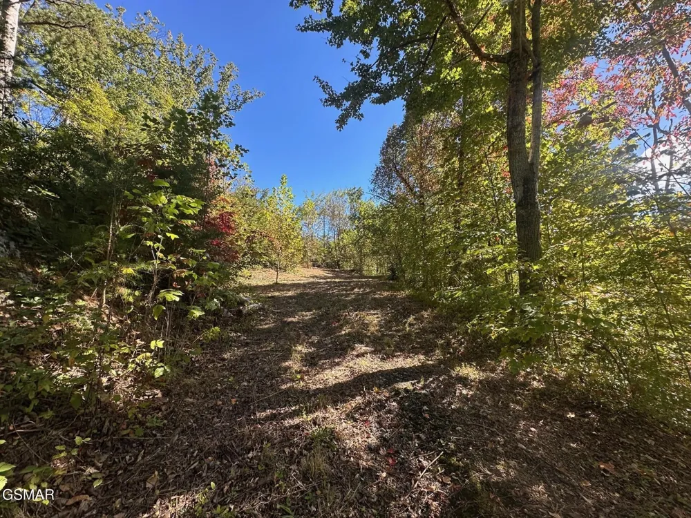 361 Oakwood Drive Sevierville, TN 37876