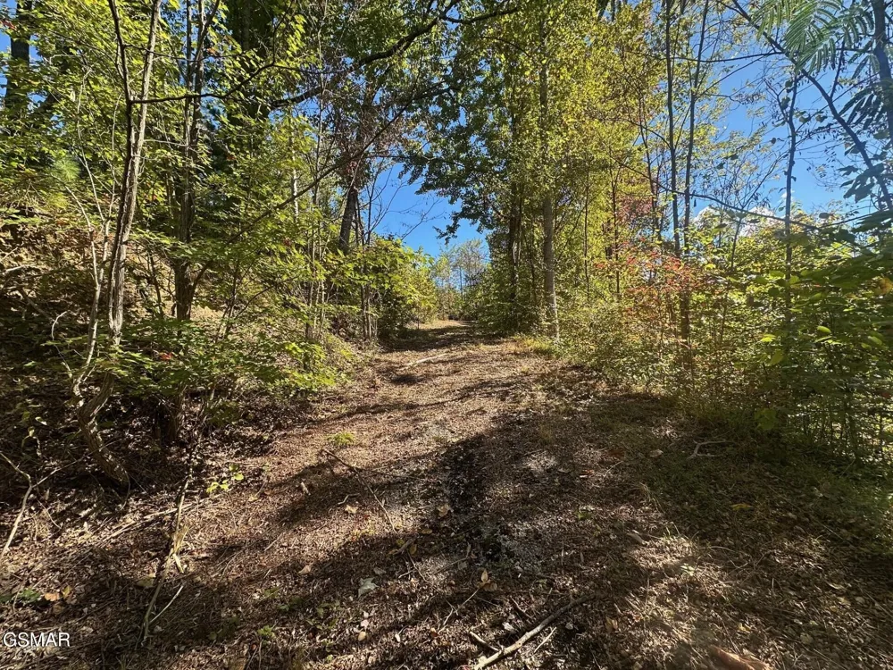 361 Oakwood Drive Sevierville, TN 37876