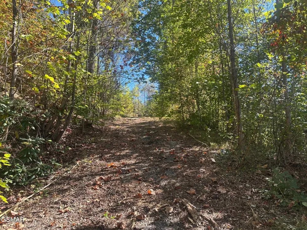361 Oakwood Drive Sevierville, TN 37876