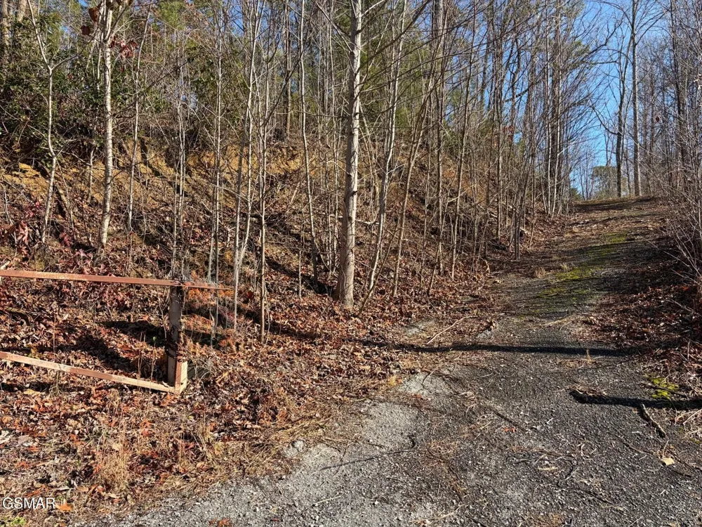 361 Oakwood Drive Sevierville, TN 37876