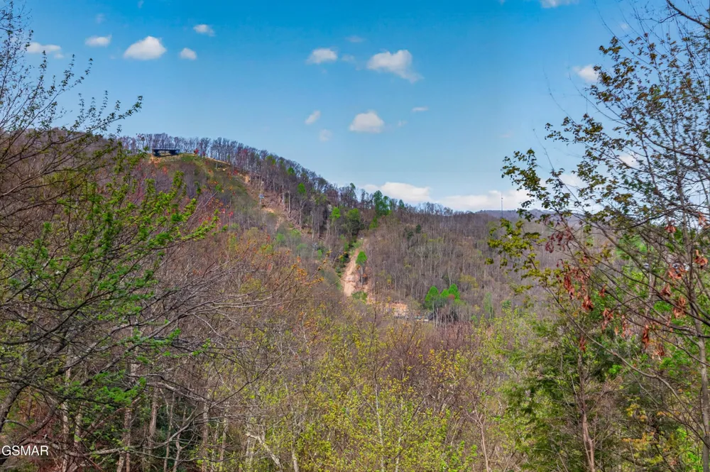 2307 Smoky Mountain Court Gatlinburg, TN 37738