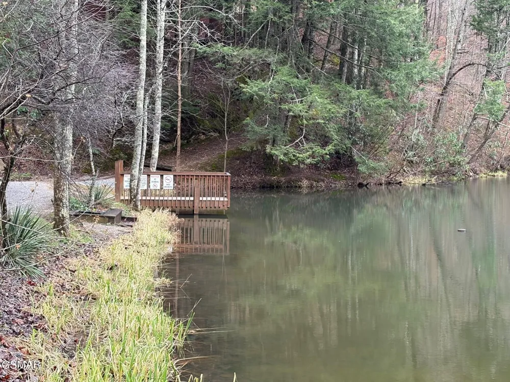 3143 Sourwood Way Sevierville, TN 37862