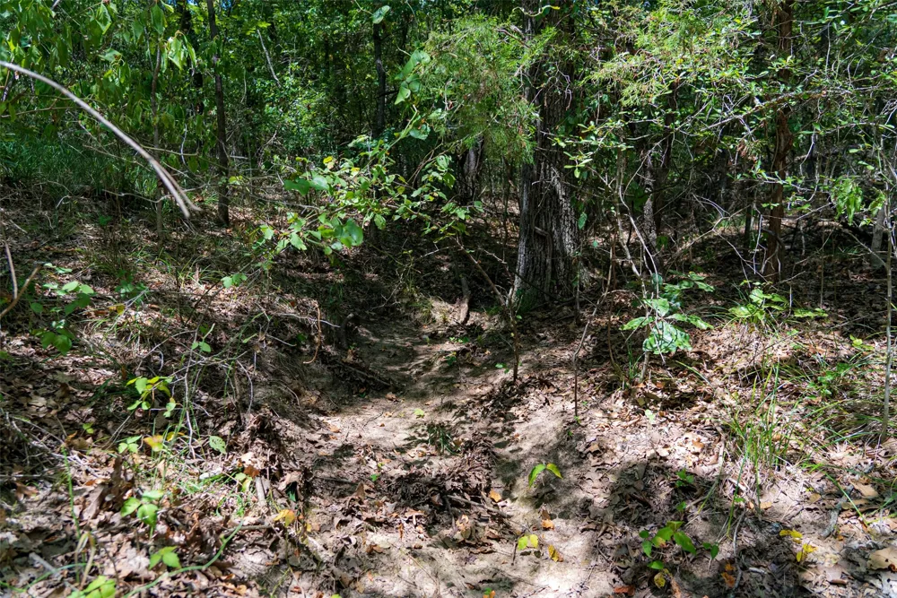 11748 River Ranch Road Kemp, TX 75143