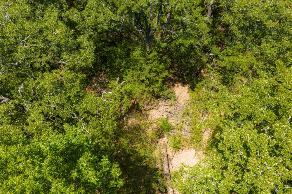 11748 River Ranch Road Kemp, TX 75143