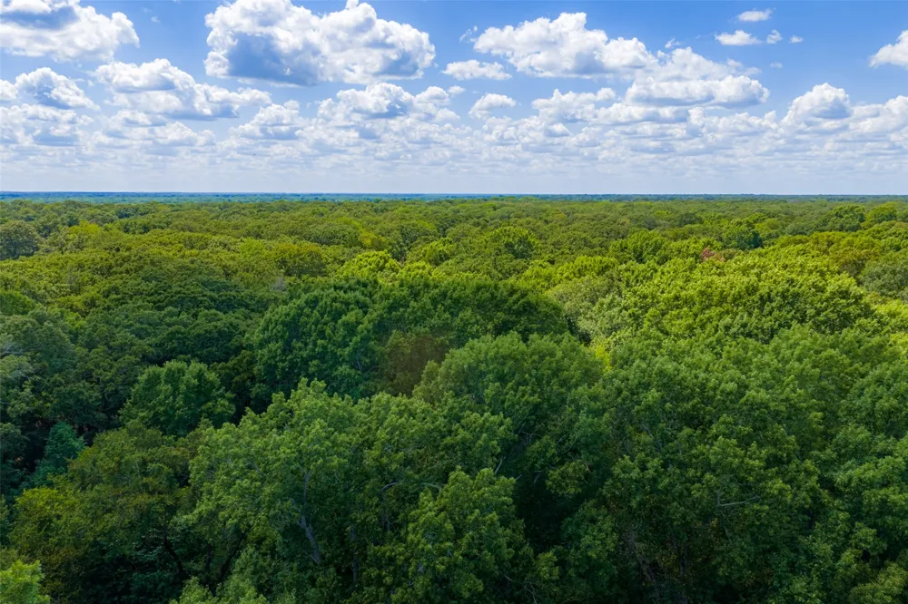 11748 River Ranch Road Kemp, TX 75143