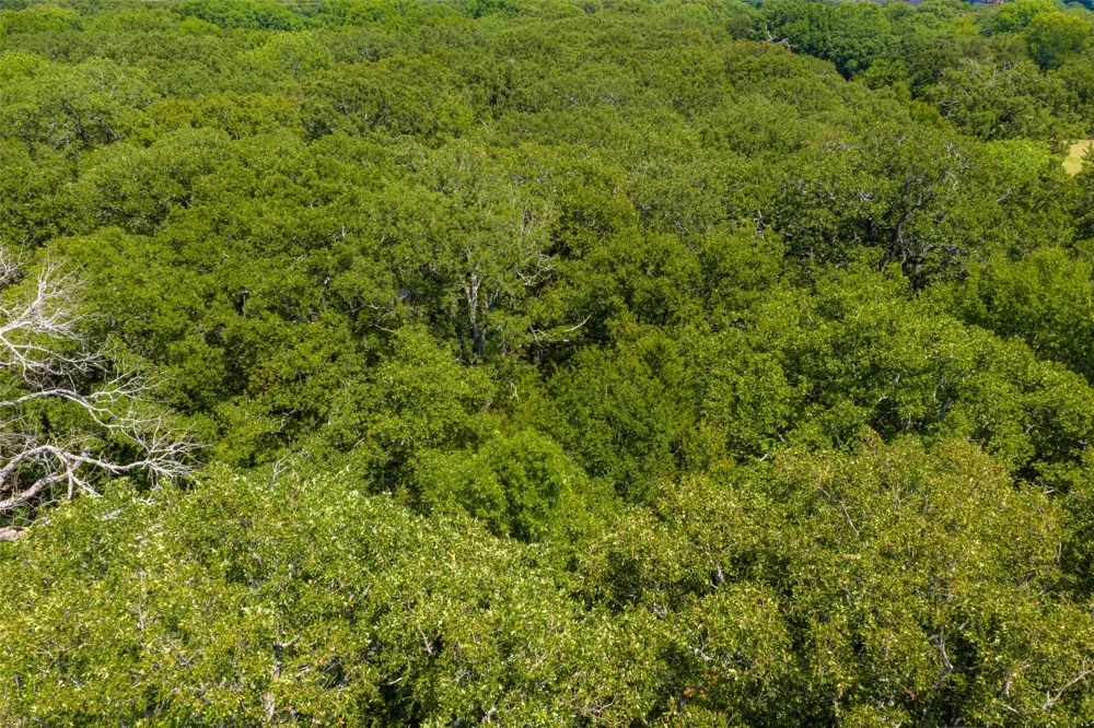 11748 River Ranch Road Kemp, TX 75143