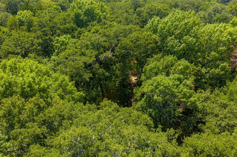 11748 River Ranch Road Kemp, TX 75143