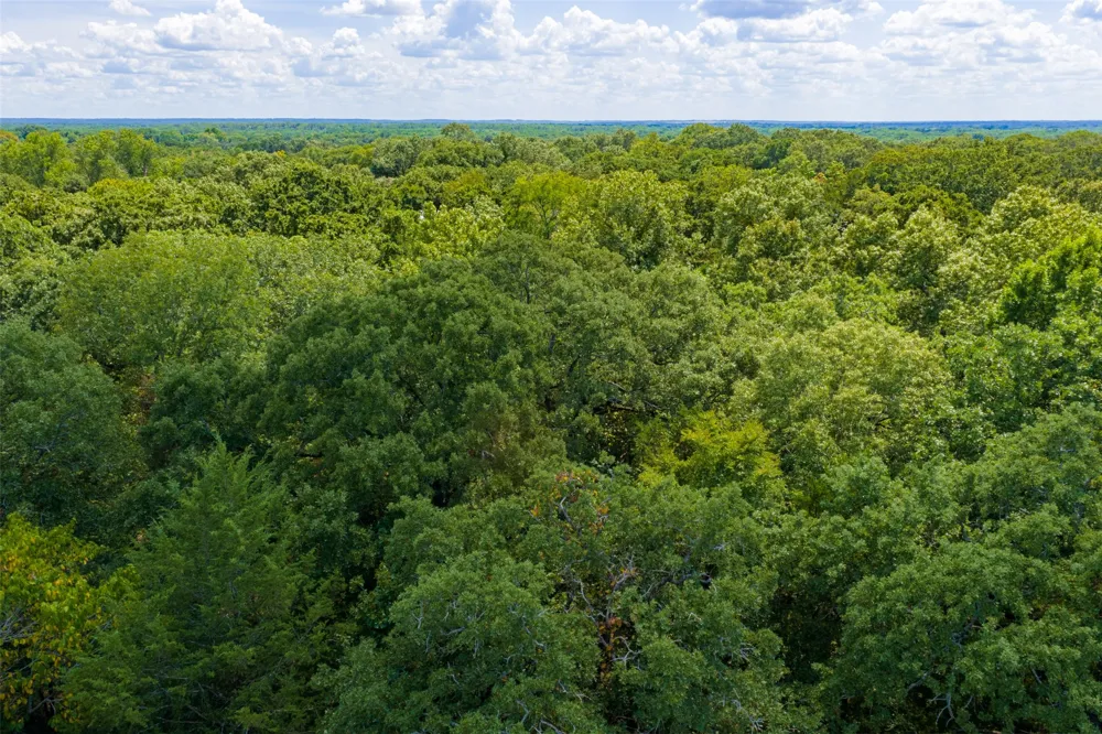 11748 River Ranch Road Kemp, TX 75143