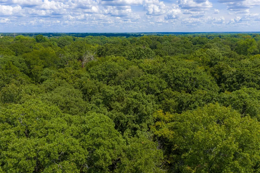 11748 River Ranch Road Kemp, TX 75143