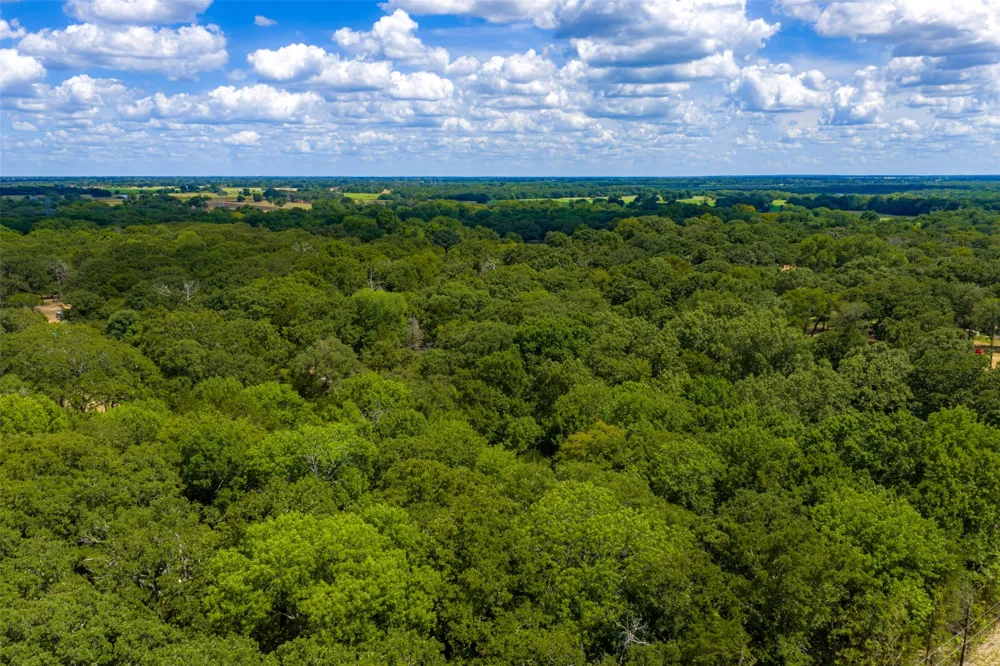 11748 River Ranch Road Kemp, TX 75143