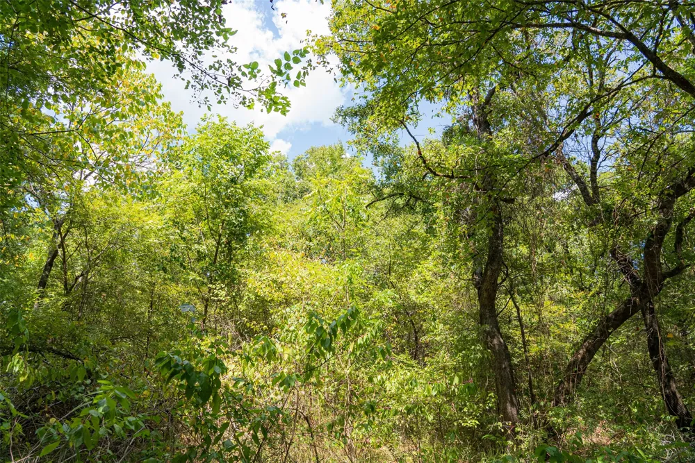 11748 River Ranch Road Kemp, TX 75143