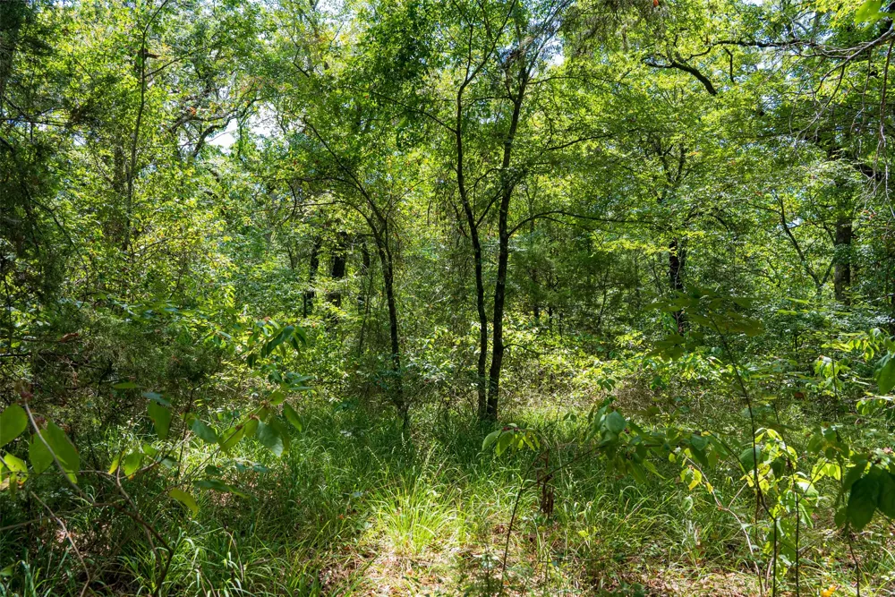 11748 River Ranch Road Kemp, TX 75143