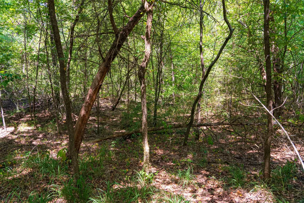 11748 River Ranch Road Kemp, TX 75143
