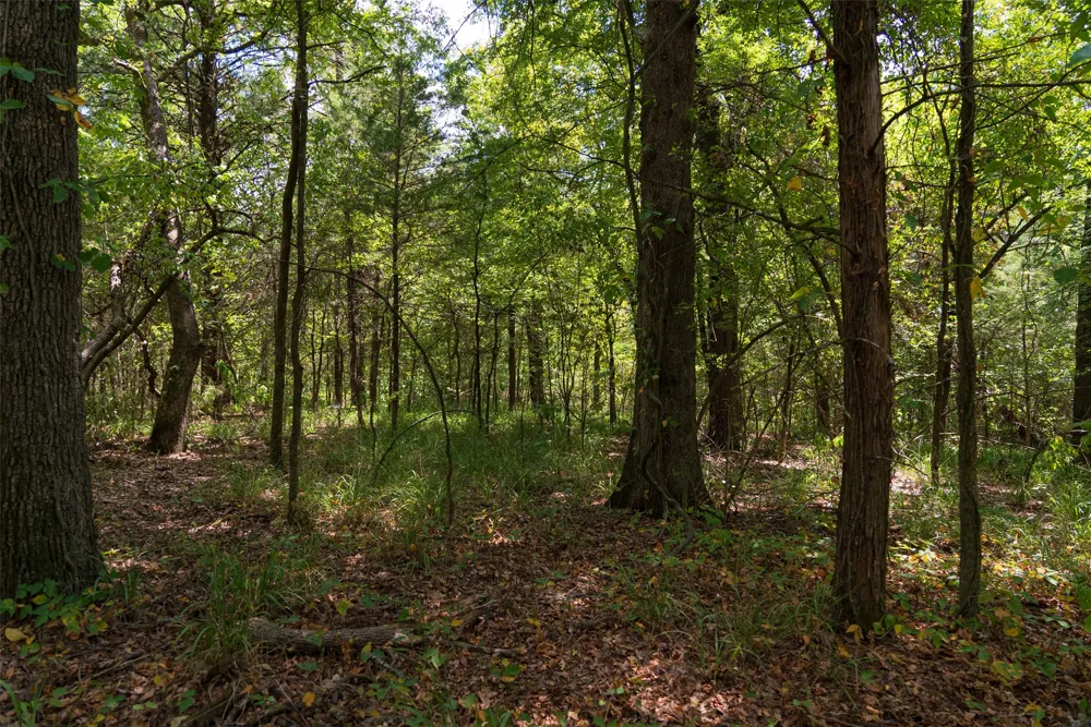 11748 River Ranch Road Kemp, TX 75143