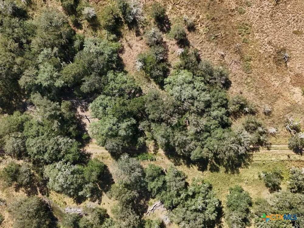 Co Road 206 Gonzales, TX 78629