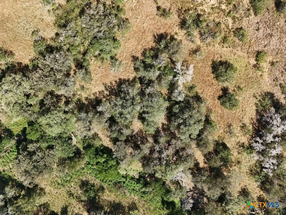 Co Road 206 Gonzales, TX 78629