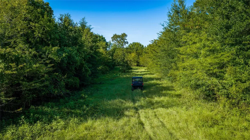 18565 Fm 974 Bryan, TX 77808