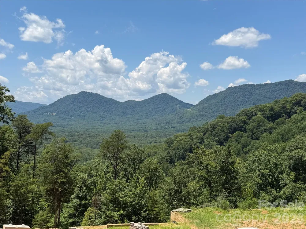 00 Holland Drive #24 Columbus, NC 28722
