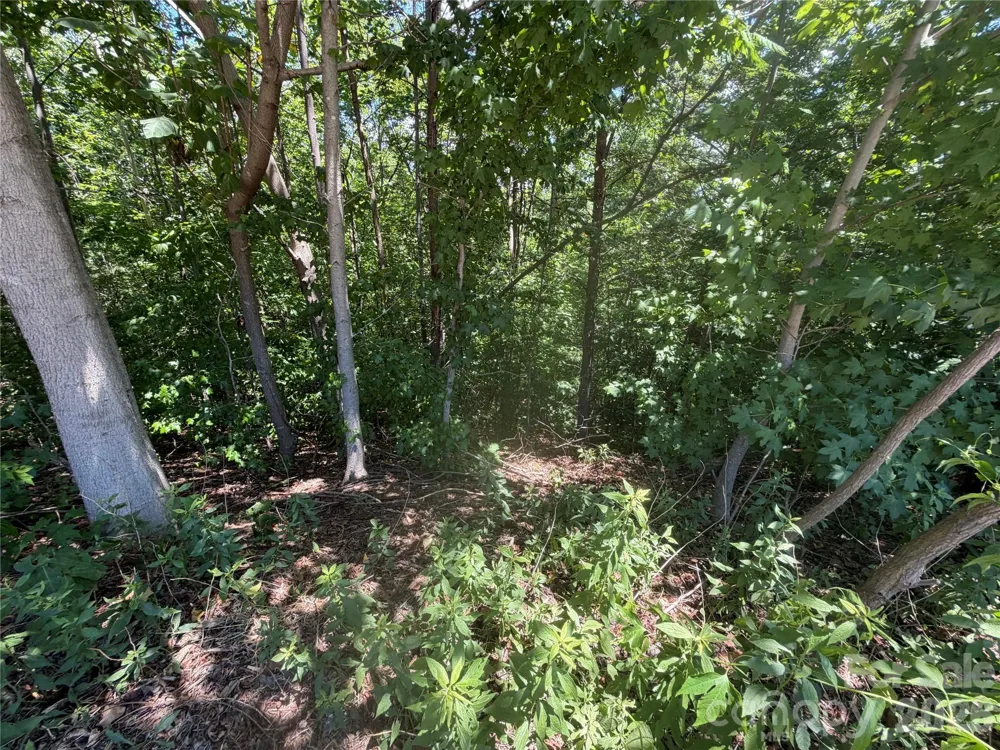 00 Holland Drive #24 Columbus, NC 28722