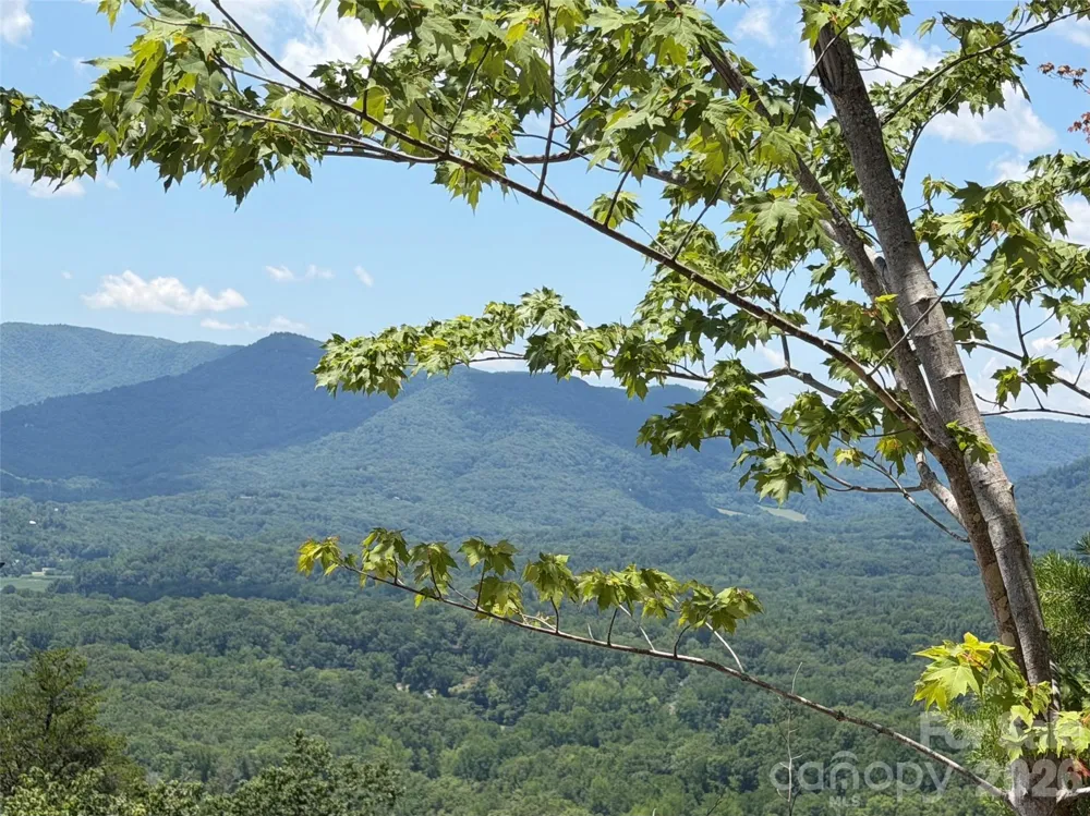00 Holland Drive #24 Columbus, NC 28722