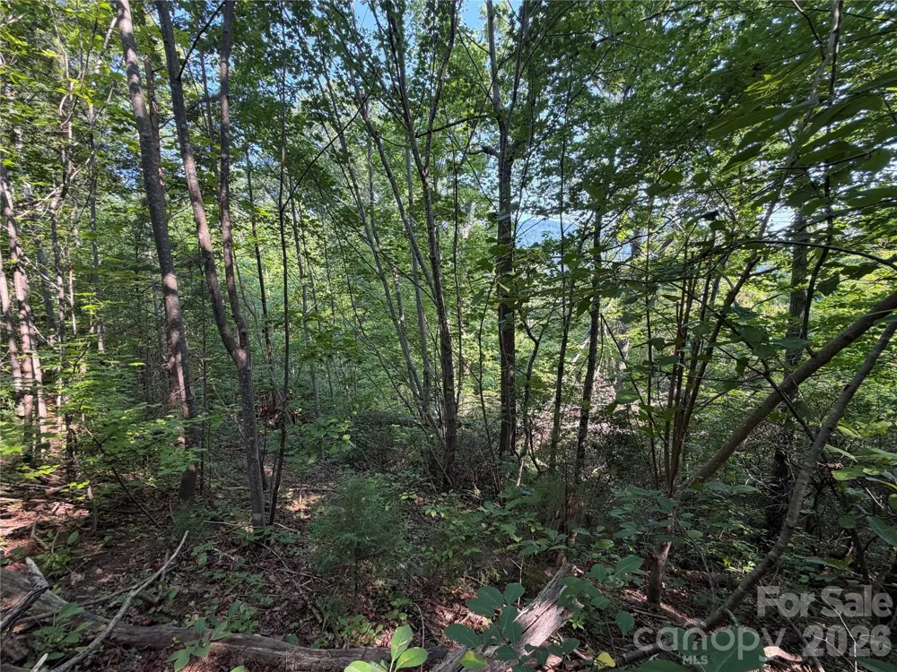 00 Holland Drive #24 Columbus, NC 28722