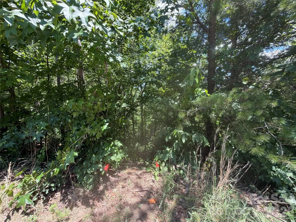 00 Holland Drive #24 Columbus, NC 28722