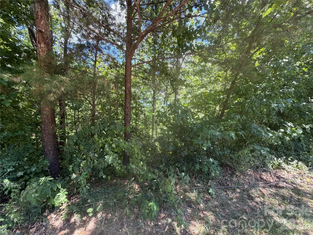 00 Holland Drive #24 Columbus, NC 28722