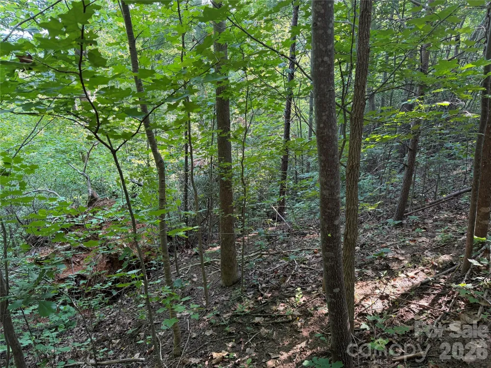 00 Holland Drive #24 Columbus, NC 28722
