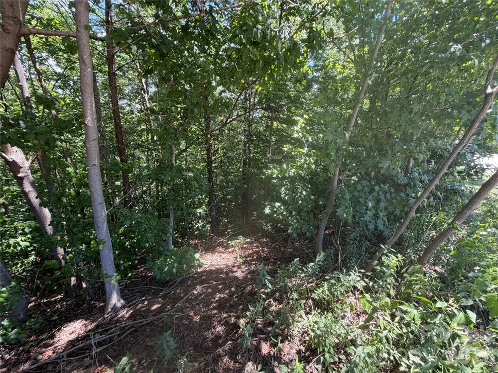 00 Holland Drive #24 Columbus, NC 28722