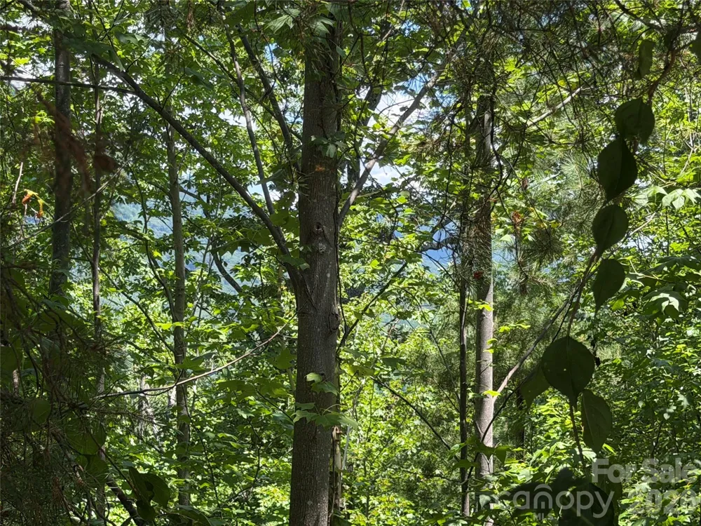 00 Holland Drive #24 Columbus, NC 28722