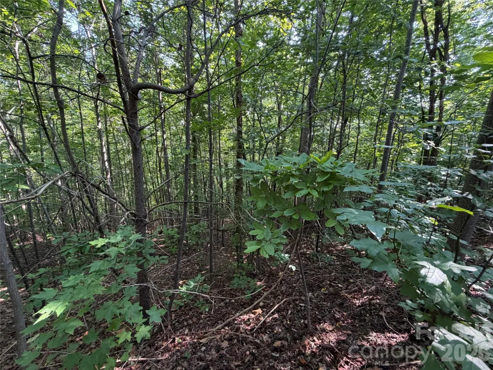 00 Holland Drive #24 Columbus, NC 28722